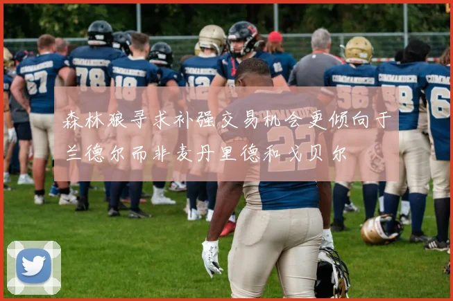 森林狼寻求补强交易机会更倾向于兰德尔而非麦丹里德和戈贝尔